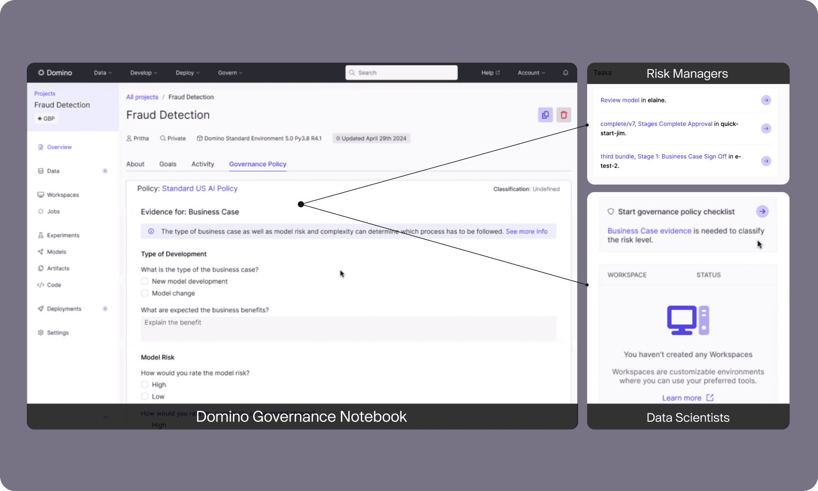 Domino governance notebook