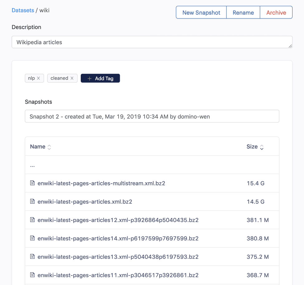Datasets in Domino Data Lab Enterprise MLOps platform