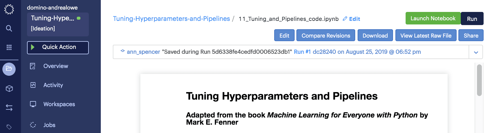 Tuning Hyperparameters notebook in Domino