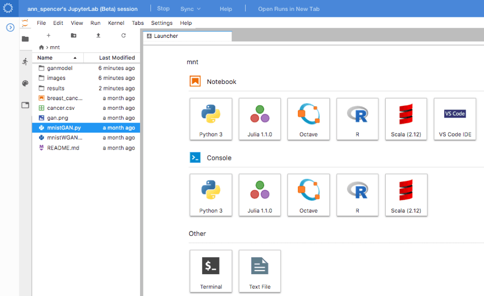 JupyterLab space in Domino