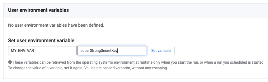 Set the user environment variable