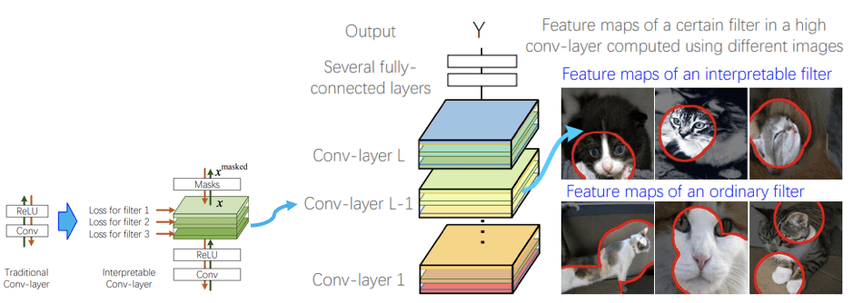 nterpretable convolutional neural networks (CNN) diagram