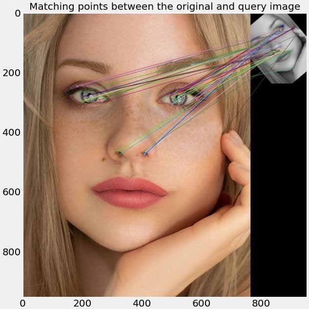 Matching of keypoints detected in the original (main) and query (top) images.