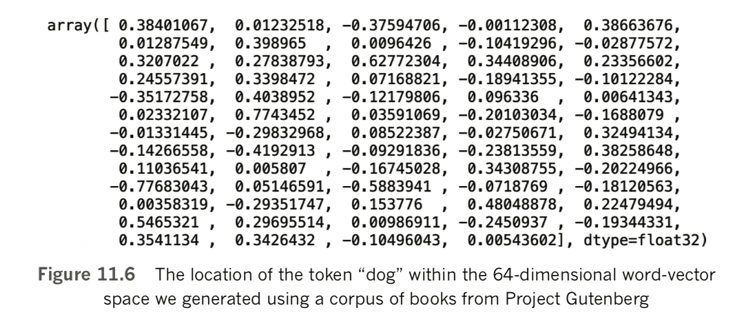 The location of the token "dog" in a word-vector