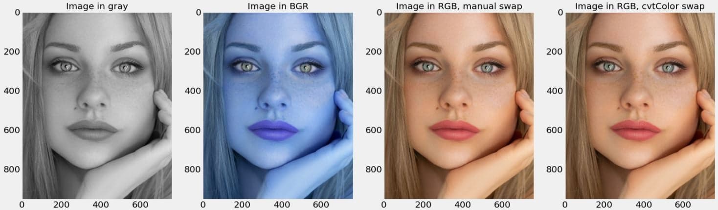 Image read in using OpenCV