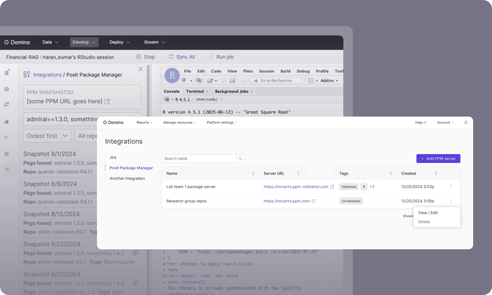 Posit package manager