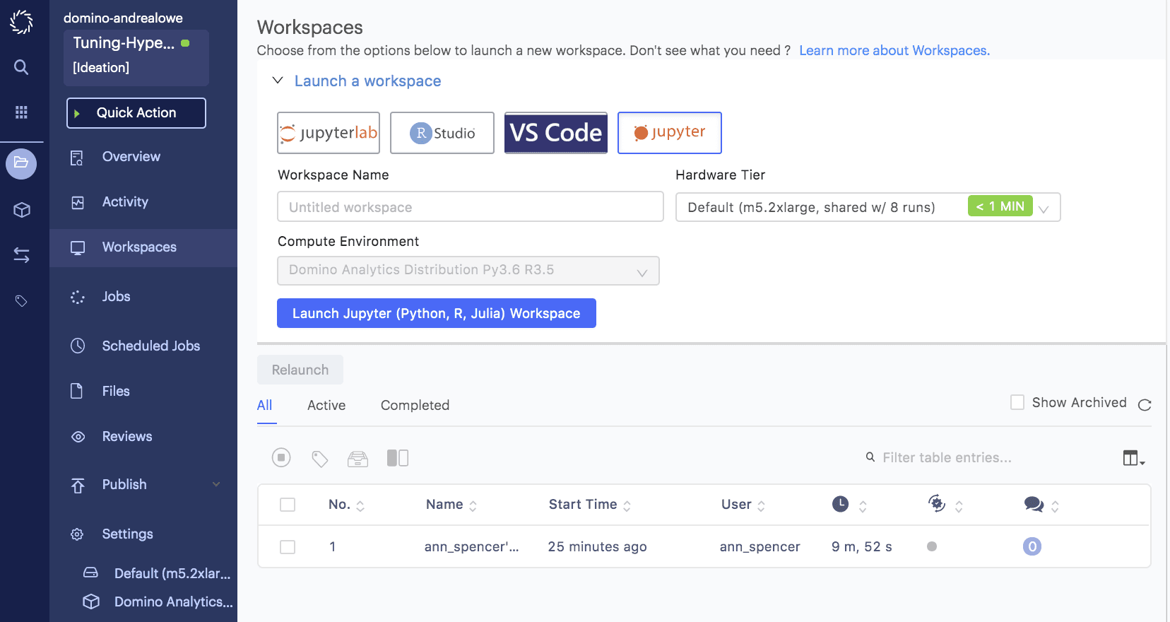 Workspace in Domino Data Lab for Hyperparameters