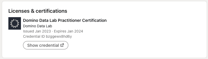 Domino University LinkedIn