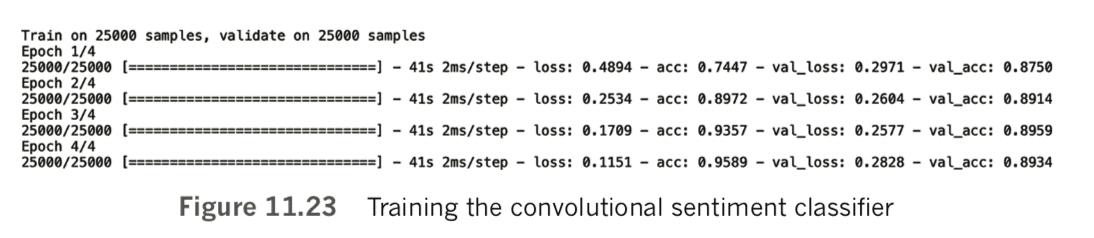 Training the convolutional sentiment classifier